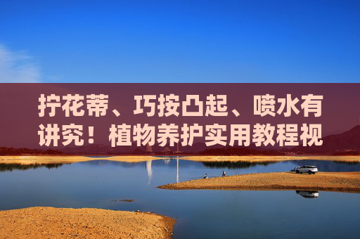 拧花蒂、巧按凸起、喷水有讲究!植物养护实用教程视频,轻松激活自然活力,三招激活植物活力,拧花蒂、巧按凸起、喷水养护教程 拧花蒂、巧按凸起、喷水有讲究!植物养护实用教程视频,轻松激活自然活力,三招激活植物活力,拧花蒂、巧按凸起、喷水养护教程