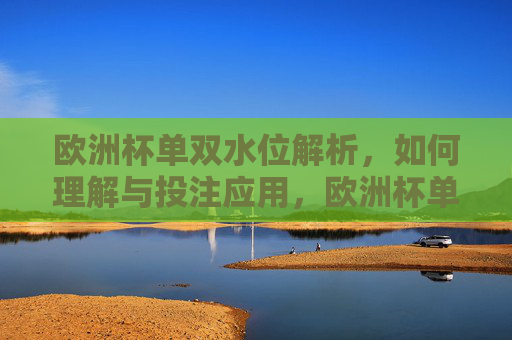 欧洲杯单双水位解析，如何理解与投注应用，欧洲杯单双水位解析与投注应用