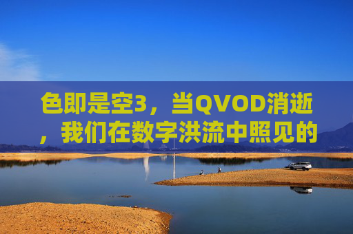 色即是空3，当QVOD消逝，我们在数字洪流中照见的空，色即是空3，QVOD消逝，数字洪流中的空性照见