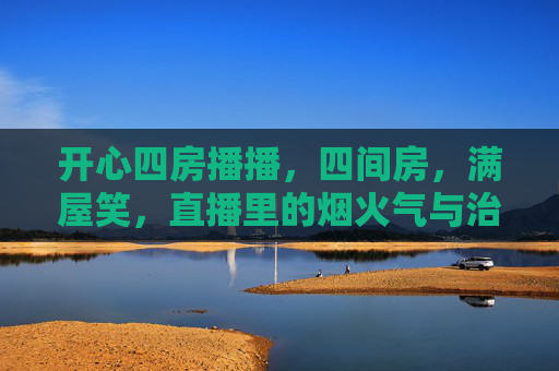 开心四房播播，四间房，满屋笑，直播里的烟火气与治愈力，开心四房直播，烟火气里的满屋笑与治愈力