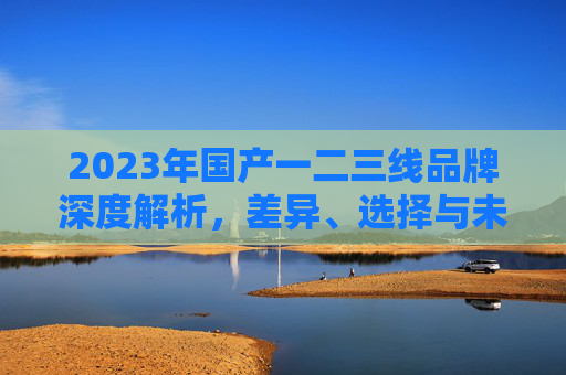 2023年国产一二三线品牌深度解析，差异、选择与未来趋势，2023年国产一二三线品牌深度解析，差异、选择与未来趋势