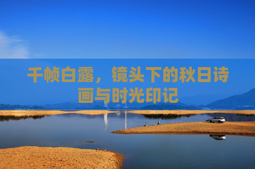 千帧白露，镜头下的秋日诗画与时光印记