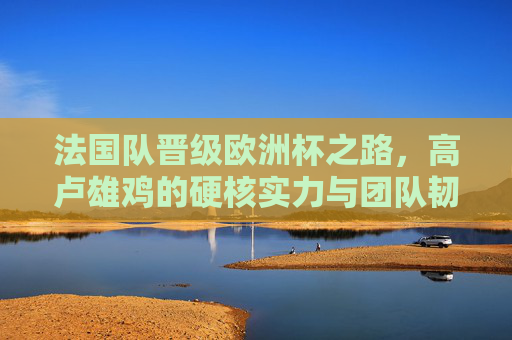 法国队晋级欧洲杯之路，高卢雄鸡的硬核实力与团队韧性，硬核实力与团队韧性，高卢雄鸡的欧洲杯晋级之路