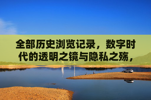 全部历史浏览记录，数字时代的透明之镜与隐私之殇，浏览记录，数字时代的透明之镜与隐私之殇