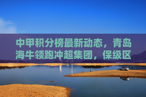 中甲积分榜最新动态，青岛海牛领跑冲超集团，保级区混战加剧，中甲积分榜，青岛海牛领跑冲超，保级区混战加剧