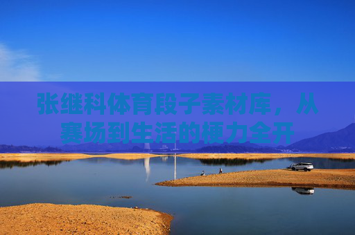 张继科体育段子素材库，从赛场到生活的梗力全开