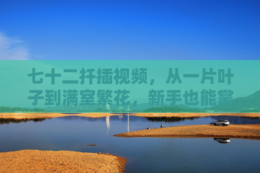七十二扦插视频，从一片叶子到满室繁花，新手也能掌握的植物繁殖密码，从一片叶子到满室繁花，新手扦插繁殖密码