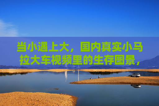 当小遇上大，国内真实小马拉大车视频里的生存图景，小马拉大车，国内真实生存图景