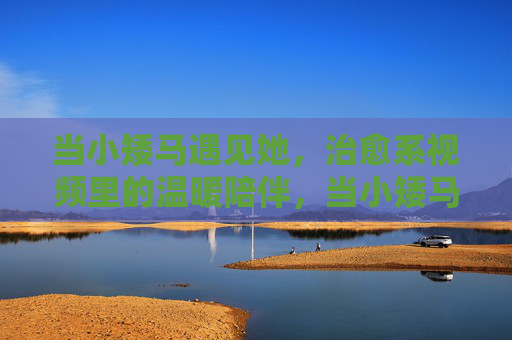 当小矮马遇见她，治愈系视频里的温暖陪伴，当小矮马遇见她，治愈系的温暖陪伴