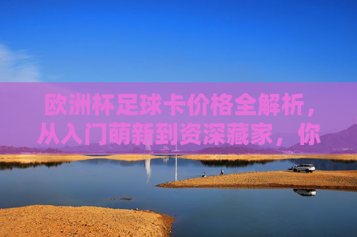 欧洲杯足球卡价格全解析，从入门萌新到资深藏家，你需要知道这些，欧洲杯足球卡价格全解析，从萌新到藏家的必备指南