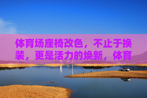 体育场座椅改色，不止于换装，更是活力的焕新，体育场座椅改色，活力焕新，不止于换装