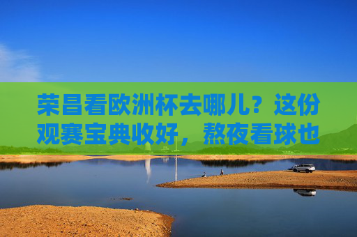 荣昌看欧洲杯去哪儿？这份观赛宝典收好，熬夜看球也有好去处！荣昌欧洲杯观赛宝典，熬夜看球好去处