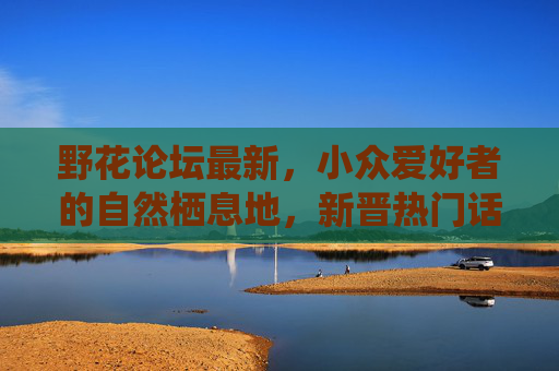 野花论坛最新，小众爱好者的自然栖息地，新晋热门话题全解析，野花论坛，小众爱好者的自然栖息地与新晋热门话题全解析