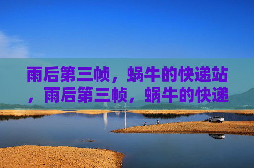 雨后第三帧，蜗牛的快递站，雨后第三帧，蜗牛的快递站
