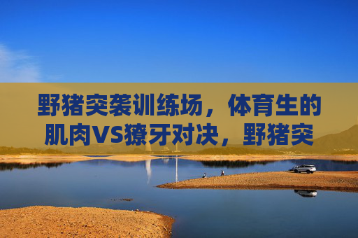 野猪突袭训练场，体育生的肌肉VS獠牙对决，野猪突袭训练场，体育生肌肉VS獠牙对决