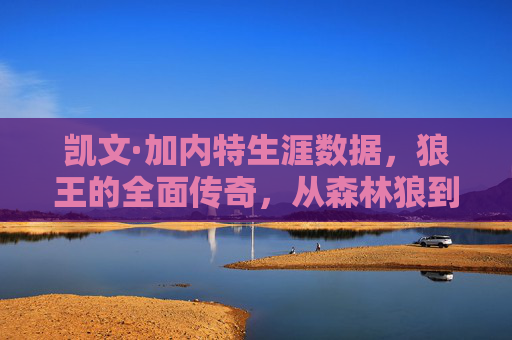 凯文·加内特生涯数据，狼王的全面传奇，从森林狼到凯尔特人的不朽篇章，狼王加内特，从森林狼到凯尔特人的不朽传奇