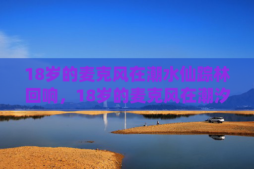 18岁的麦克风在潮水仙踪林回响，18岁的麦克风在潮汐仙踪林回响