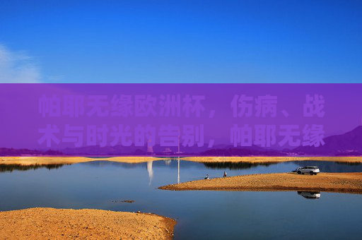 帕耶无缘欧洲杯，伤病、战术与时光的告别，帕耶无缘欧洲杯，伤病、战术与时光的告别