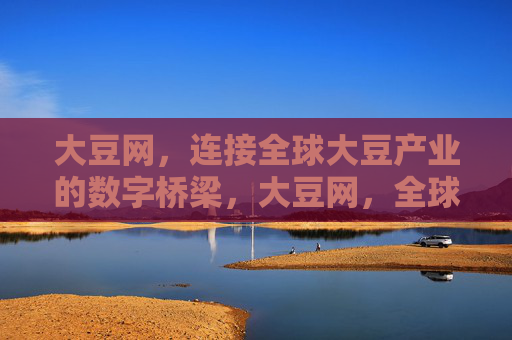 大豆网，连接全球大豆产业的数字桥梁，大豆网，全球大豆产业的数字桥梁