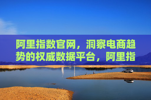 阿里指数官网，洞察电商趋势的权威数据平台，阿里指数官网，电商趋势权威数据平台