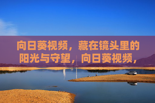 向日葵视频，藏在镜头里的阳光与守望，向日葵视频，镜头里的阳光与守望