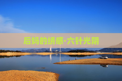 后妈的绣感·六针光阴 后妈的绣感·六针光阴