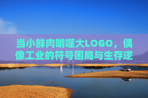 当小鲜肉啃噬大LOGO,偶像工业的符号困局与生存逻辑,小鲜肉啃噬大LOGO,偶像工业的符号困局与生存逻辑 当小鲜肉啃噬大LOGO,偶像工业的符号困局与生存逻辑,小鲜肉啃噬大LOGO,偶像工业的符号困局与生存逻辑