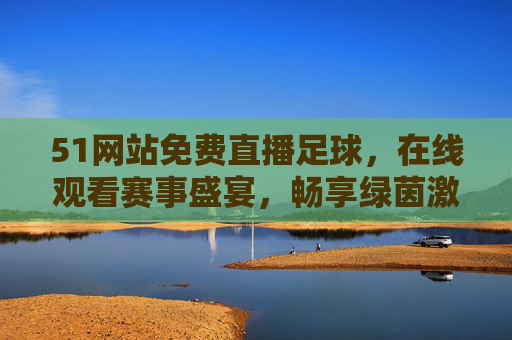 51网站免费直播足球，在线观看赛事盛宴，畅享绿茵激情，51网站免费直播足球，畅享绿茵赛事激情