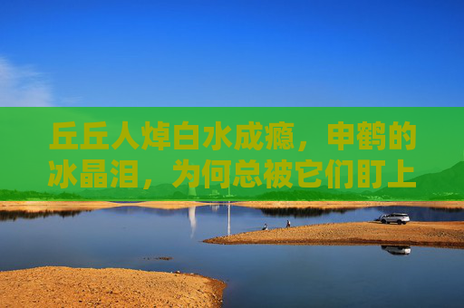 丘丘人焯白水成瘾，申鹤的冰晶泪，为何总被它们盯上？丘丘人为何对申鹤冰晶泪成瘾？