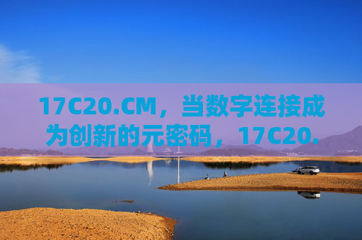 17C20.CM，当数字连接成为创新的元密码，17C20.CM，数字连接成为创新的元密码