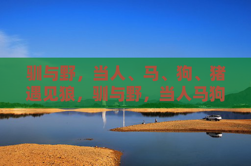 驯与野,当人、马、狗、猪遇见狼,驯与野,当人马狗猪遇见狼 驯与野,当人、马、狗、猪遇见狼,驯与野,当人马狗猪遇见狼