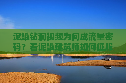 泥鳅钻洞视频为何成流量密码?看泥鳅建筑师如何征服你的屏幕,泥鳅建筑师,钻洞视频的流量密码 泥鳅钻洞视频为何成流量密码?看泥鳅建筑师如何征服你的屏幕,泥鳅建筑师,钻洞视频的流量密码