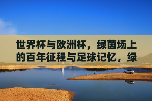 世界杯与欧洲杯，绿茵场上的百年征程与足球记忆，绿茵双杯百年，足球征程与记忆