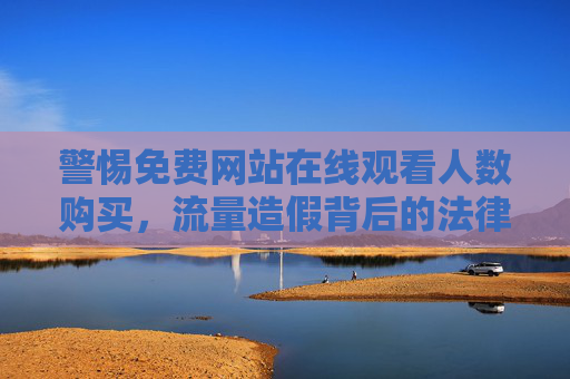 警惕免费网站在线观看人数购买，流量造假背后的法律与风险警示，警惕免费网站观看人数购买，流量造假的法律与风险警示