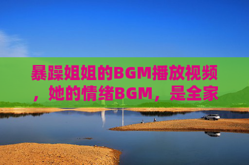 暴躁姐姐的BGM播放视频，她的情绪BGM，是全家的生存指南，暴躁姐姐的情绪BGM，全家生存指南