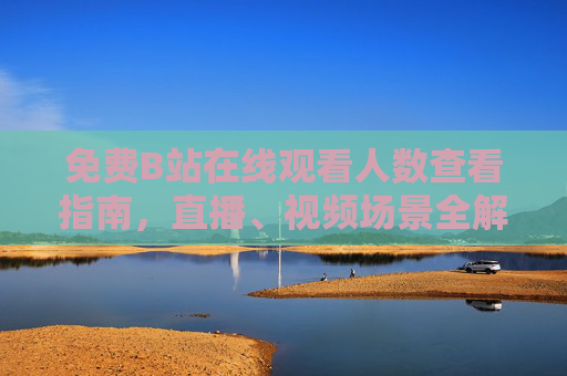 免费B站在线观看人数查看指南，直播、视频场景全解析，免费B站在线观看人数查看指南，直播、视频场景全解析