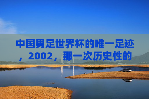 中国男足世界杯的唯一足迹，2002，那一次历史性的远征，中国男足世界杯唯一足迹，2002历史性远征