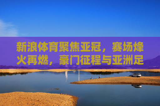 新浪体育聚焦亚冠，赛场烽火再燃，豪门征程与亚洲足球的共鸣，亚冠烽火再燃，豪门征程与亚洲足球的共鸣