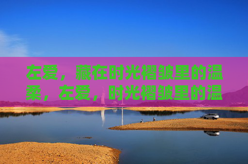 左爱，藏在时光褶皱里的温柔，左爱，时光褶皱里的温柔