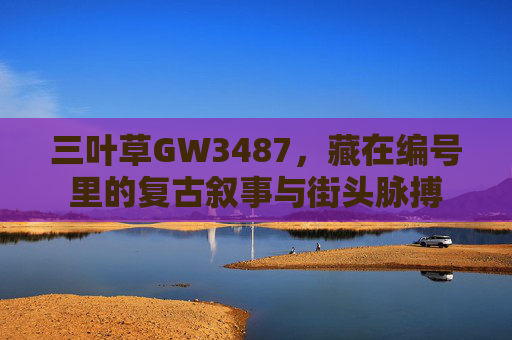 三叶草GW3487,藏在编号里的复古叙事与街头脉搏 三叶草GW3487,藏在编号里的复古叙事与街头脉搏
