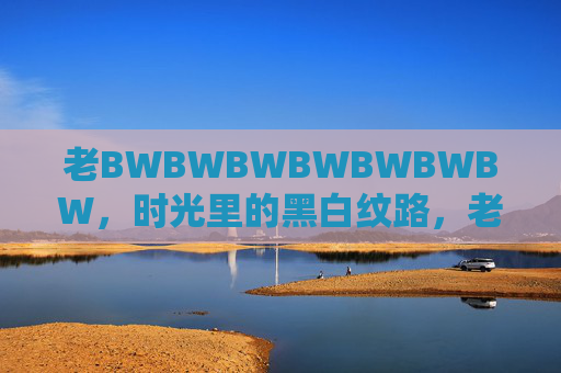 老BWBWBWBWBWBWBW,时光里的黑白纹路,老时光的黑白纹 老BWBWBWBWBWBWBW,时光里的黑白纹路,老时光的黑白纹
