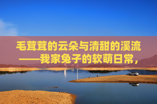 毛茸茸的云朵与清甜的溪流——我家兔子的软萌日常，每一帧都是图片