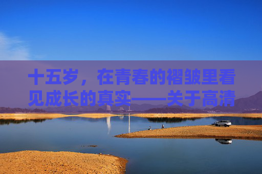 十五岁，在青春的褶皱里看见成长的真实——关于高清完整版的正确打开方式，十五岁，在青春褶皱里看见成长的高清完整版
