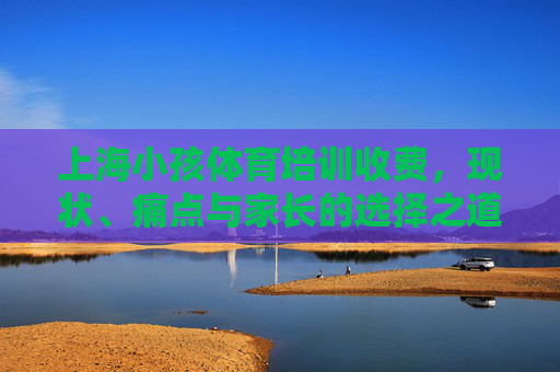 上海小孩体育培训收费,现状、痛点与家长的选择之道,上海小孩体育培训收费,现状、痛点与家长选择之道 上海小孩体育培训收费,现状、痛点与家长的选择之道,上海小孩体育培训收费,现状、痛点与家长选择之道
