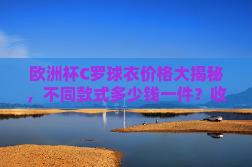 欧洲杯C罗球衣价格大揭秘，不同款式多少钱一件？收藏党必看！欧洲杯C罗球衣价格大揭秘，收藏党必看不同款式报价