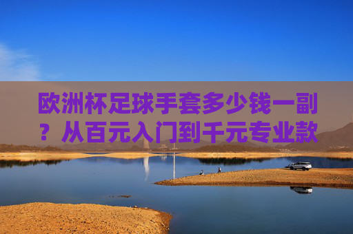 欧洲杯足球手套多少钱一副？从百元入门到千元专业款，看完这篇不踩坑！欧洲杯足球手套价格指南，百元入门到千元专业款，选购不踩坑！