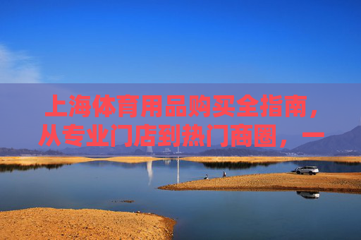 上海体育用品购买全指南,从专业门店到热门商圈,一文搞定你的运动装备 上海体育用品购买全指南,从专业门店到热门商圈,一文搞定你的运动装备
