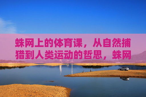 蛛网上的体育课,从自然捕猎到人类运动的哲思,蛛网上的体育课,从自然捕猎到人类运动的哲思 蛛网上的体育课,从自然捕猎到人类运动的哲思,蛛网上的体育课,从自然捕猎到人类运动的哲思