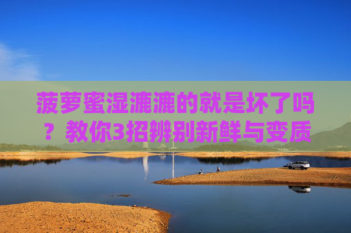 菠萝蜜湿漉漉的就是坏了吗?教你3招辨别新鲜与变质 菠萝蜜湿漉漉的就是坏了吗?教你3招辨别新鲜与变质