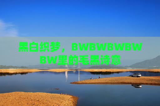 黑白织梦，BWBWBWBWBW里的毛黑诗意